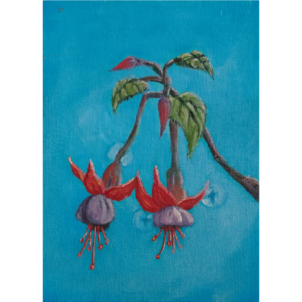 Fuchsia