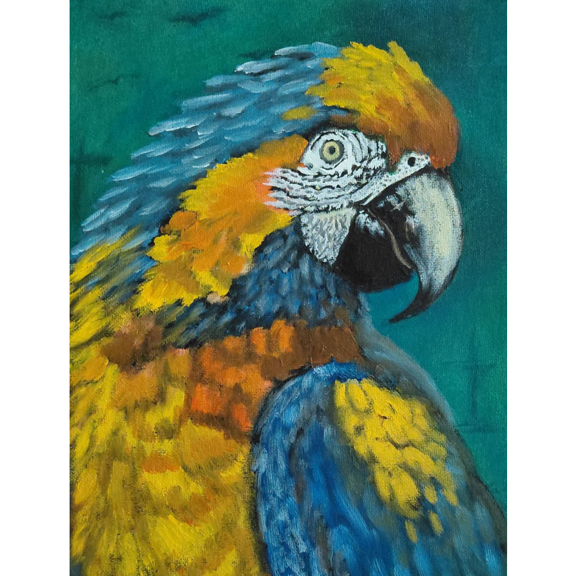 Blue and Yellow Macaw