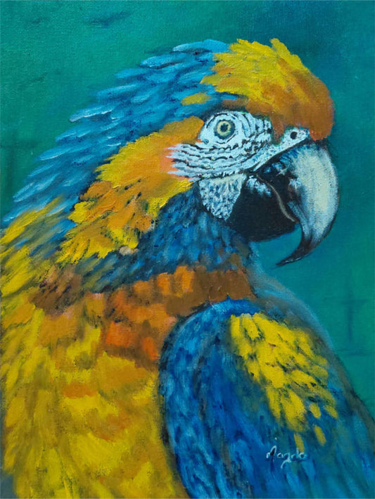 Blue and Yellow Macaw