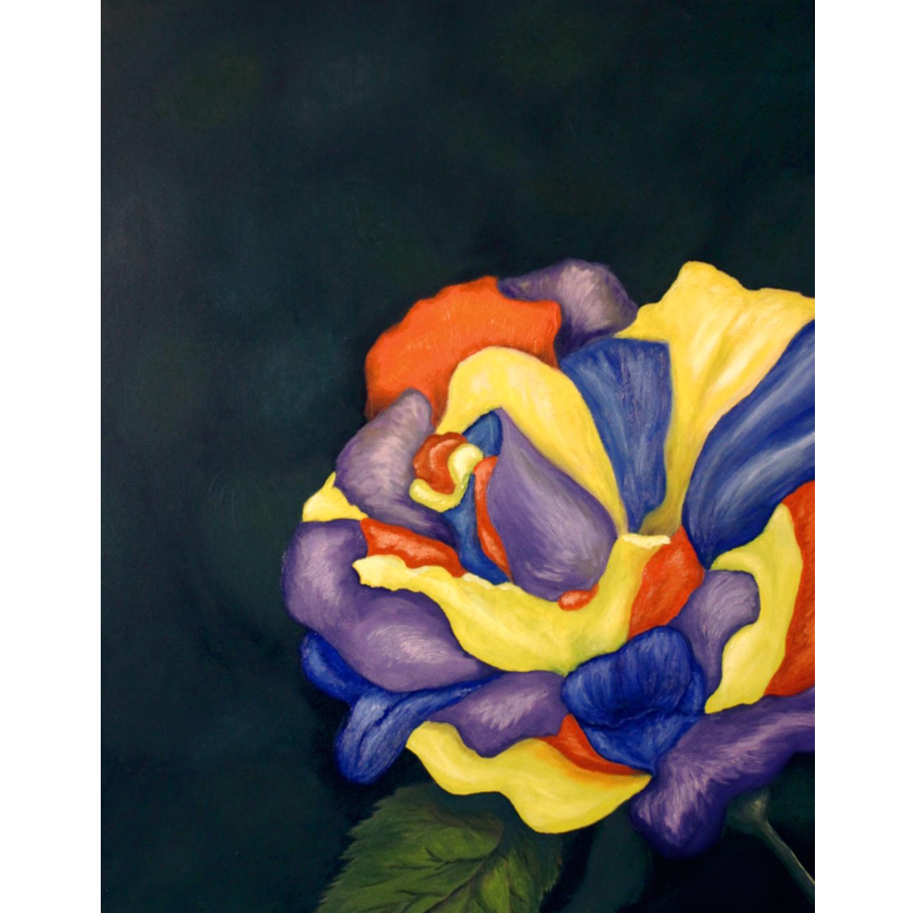 Rainbow Rose